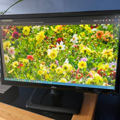 Fujitsu 22" Full HD 1080p LED Monitor (Cables Included)