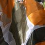 scarf Image 3