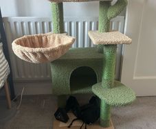 Cat scratching post