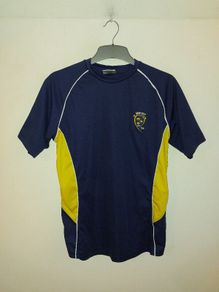 munster gaa jersey
