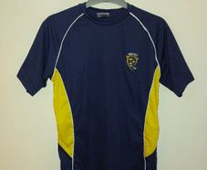 munster gaa jersey