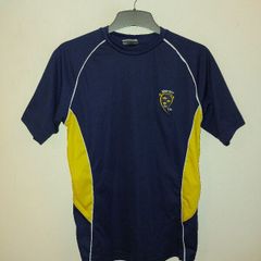 munster gaa jersey
