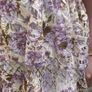 Coast halter neck midi dress Image 2