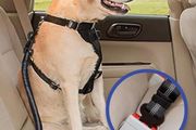 Dog Safety Belt