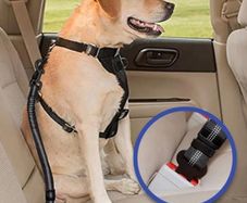 Dog Safety Belt