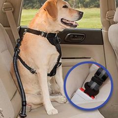 Dog Safety Belt