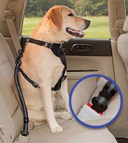 Dog Safety Belt