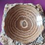Argonite Image 2