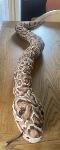 Large Snake Soft Toy