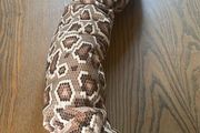 Large Snake Soft Toy