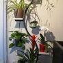 BRAND NEW Outdoor Garden Balcony Flower Shelf Home Living Room Multi-layer Floor Plant Racks Image 5