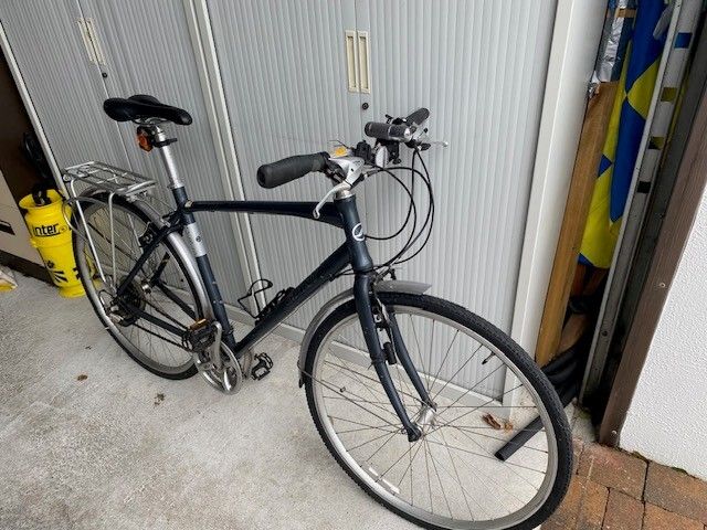 Men's Giant Bike