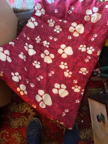 brand new dog/cat bed