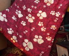 brand new dog/cat bed