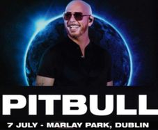 Pitbull Gold Circle