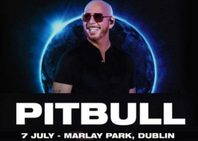 Pitbull Gold Circle