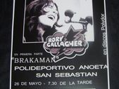 Rory Gallagher Concert Poster Spain 1974