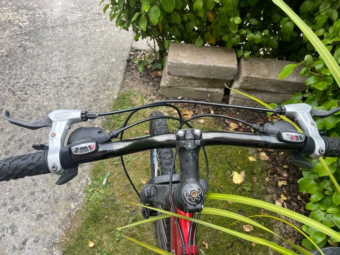 Mens bike
