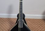 mandolin