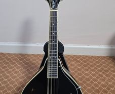 mandolin
