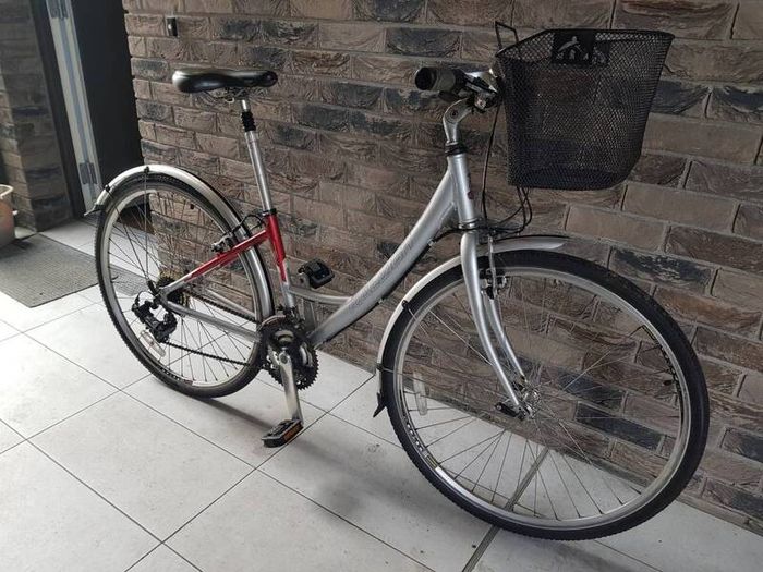 ladies Raleigh city bike ( can deliver)