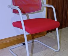 Sitland Red & White Designer Chairs