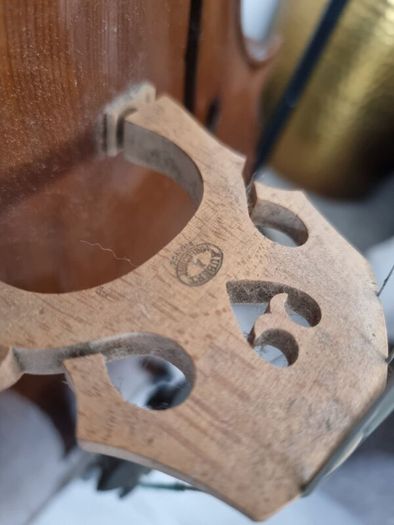 Unlabelled Cello full size