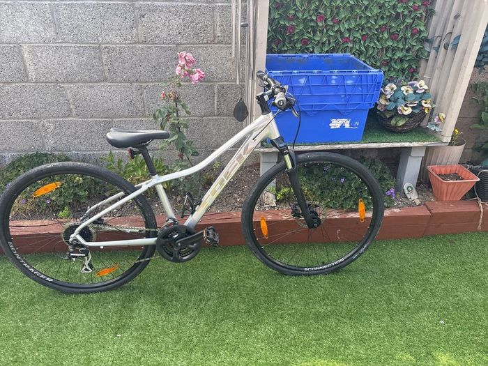 trek dual sport 2