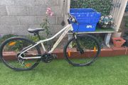 trek dual sport 2
