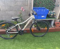 trek dual sport 2