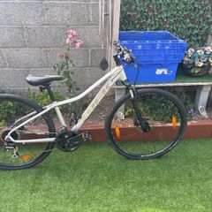 trek dual sport 2