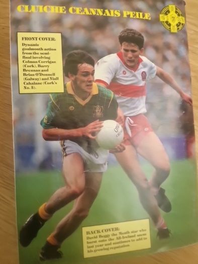 1987 All-Ireland Senior Football Final