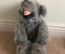 Irish Wolfhound teddy