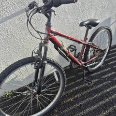 Bike Girls