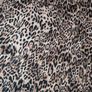 Perfect for Summer. stunning animal print pleated maxi skirt Image 5