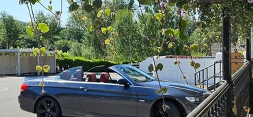 2009 Bmw 320