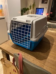 cat carrier