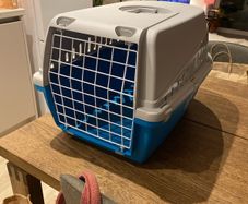 cat carrier