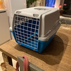 cat carrier