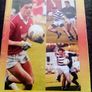 Castlehaven 1994 Cork football final match programmes (postage included) Image 3