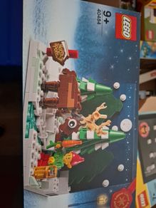 lego 40484 Santas front yard