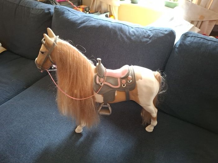 New generation horse