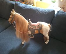 New generation horse