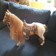 New generation horse