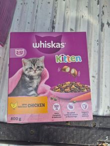 cat food