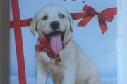 Marley &amp; Me: The Puppy Years [2011] Travis Turner &amp; Donnelly Rhodes [Movie DVD]
