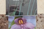 Dj Cam 2 Cd Lot