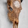 Harley skull Image 3