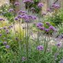 plants Image 2