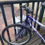 Bike Image 2